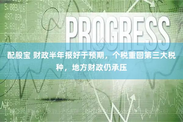配股宝 财政半年报好于预期，个税重回第三大税种，地方财政仍承压